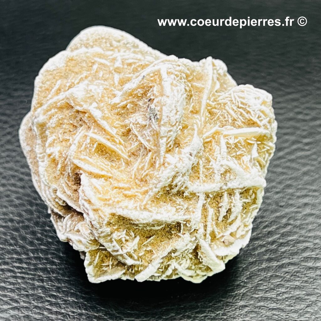 Rose des Sables “gypse” du Maroc (réf rs4) Cœur de Pierres