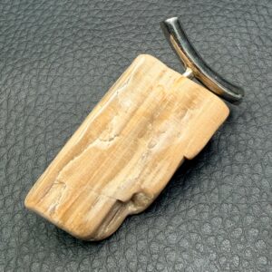 Pendentif en Bois Fossile de Malaisie