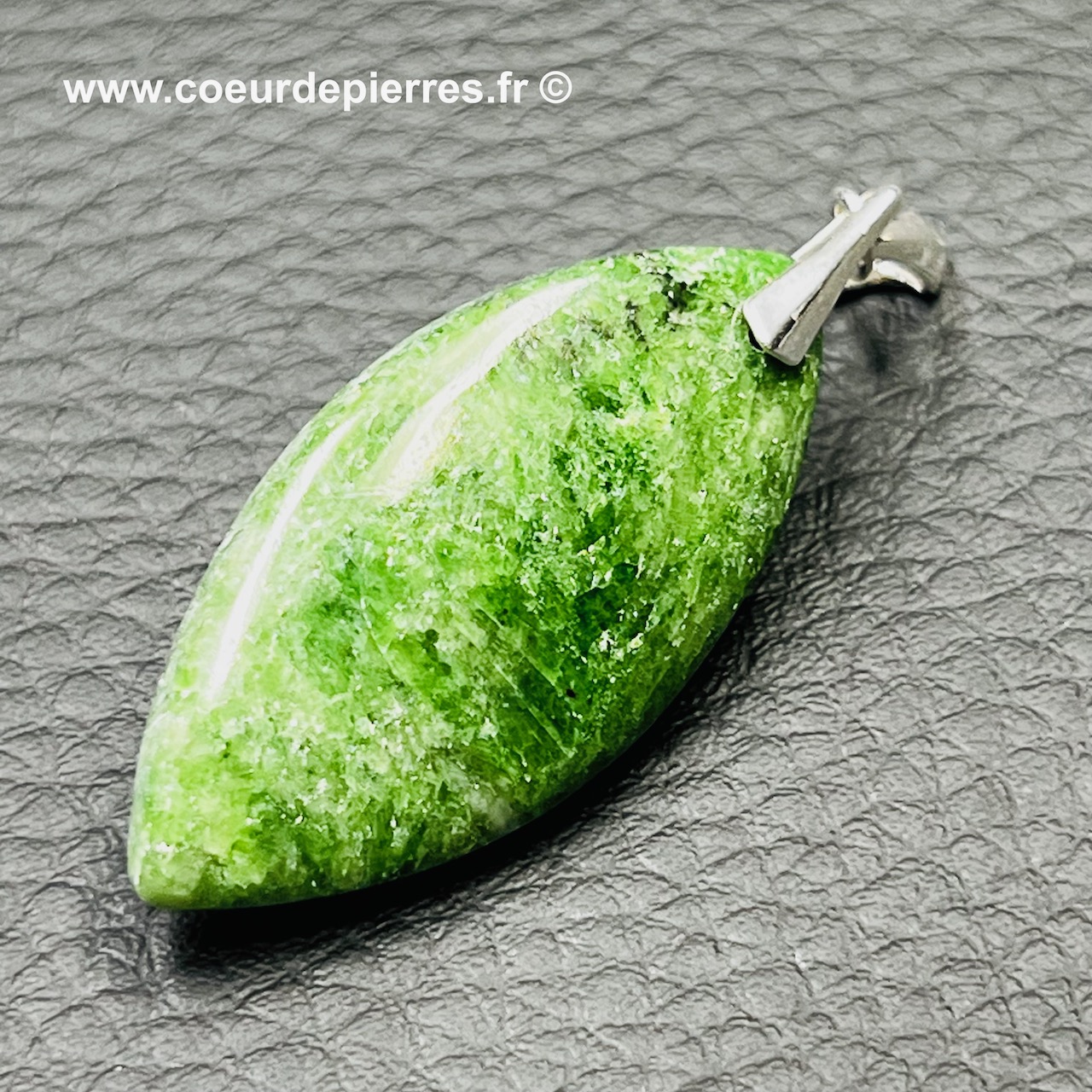Pendentif Canadien En Jade Koru Néphrite Collier en Jade - France