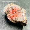 Rhodochrosite, mine Uchucchacua, Lima, Pérou (réf rg16) – Image 5