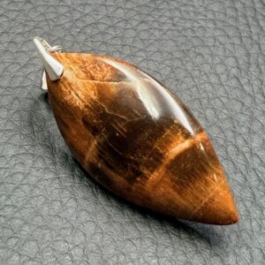 Pendentif en Bois Fossilisé