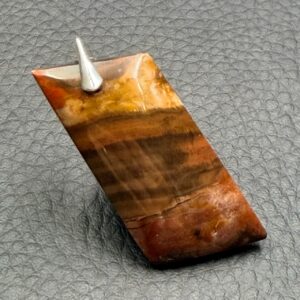 Pendentif en Bois Fossilisé