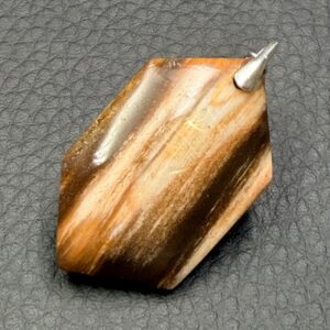 Pendentif en Bois Fossilisé