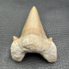 Dent de Requin