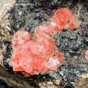Rhodochrosite sur gangue de la mine Uchucchacua, Lima, Pérou (réf rg13)