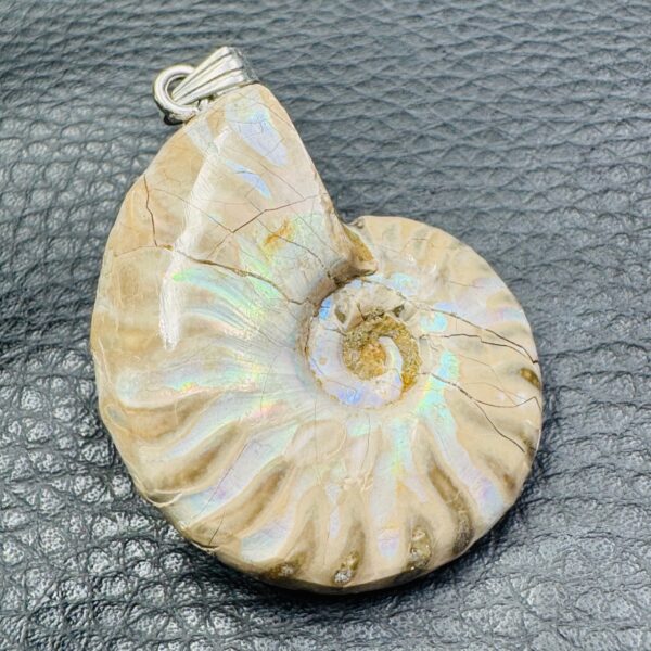 Pendentif Ammonite Opalisé de Madagascar (réf pam16) – Image 4