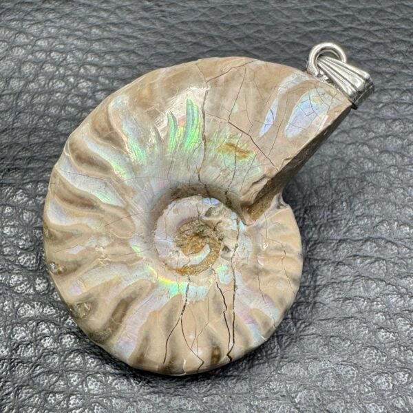 Pendentif Ammonite Opalisé de Madagascar (réf pam16) – Image 3