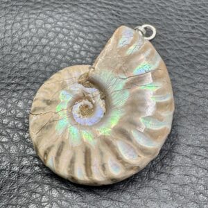 Pendentif Ammonite Opalisé