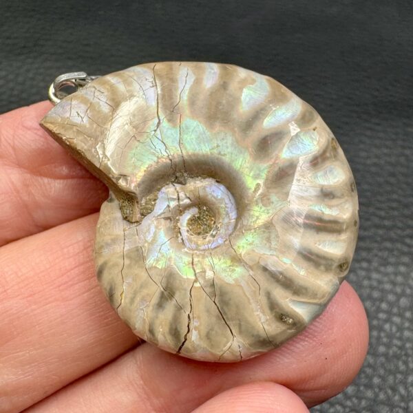 Pendentif Ammonite Opalisé de Madagascar (réf pam16) – Image 2