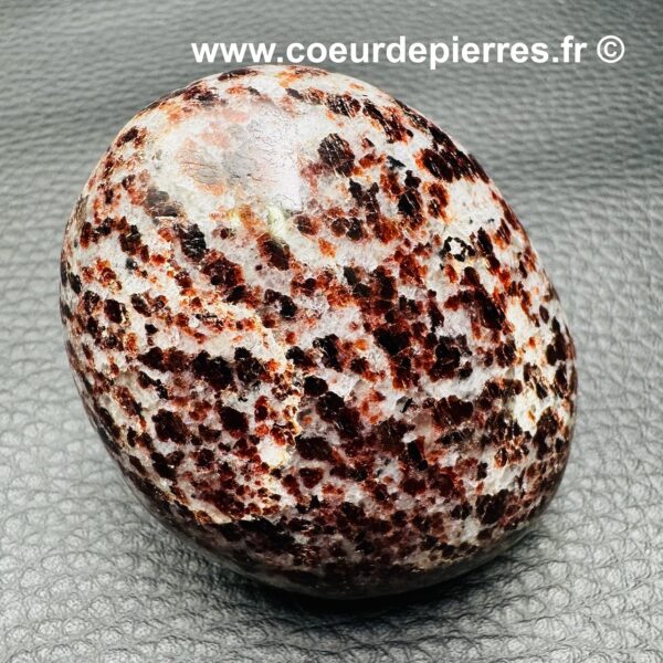 Galet en Grenatite