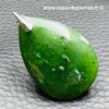 Pendentif en Jade