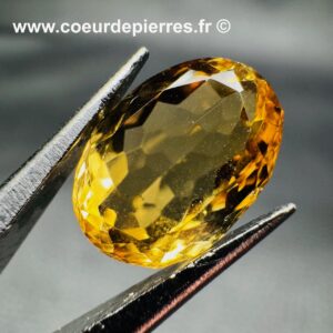 Citrine Gemme