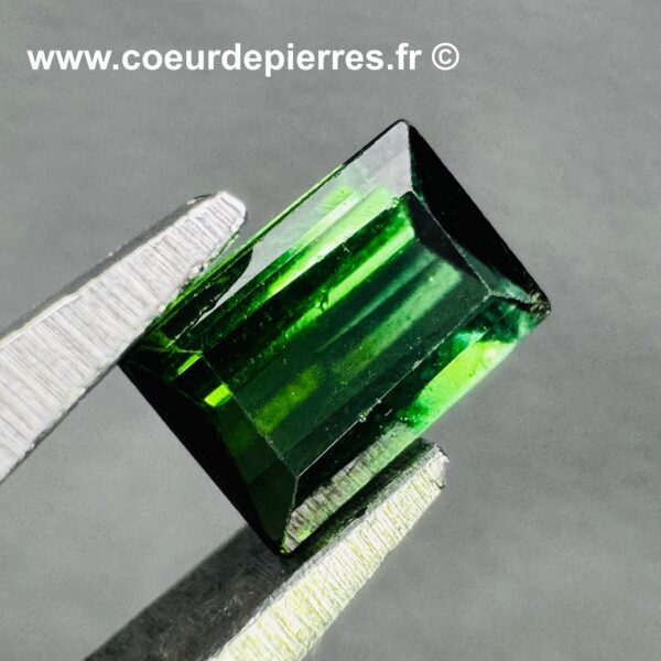 Tourmaline Verdelite Gemme