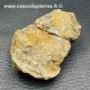 Trilobite commun du Maroc (réf tr5) – Image 4