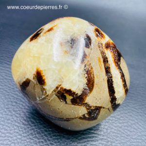 Galet en septaria de Madagascar (réf gs6)