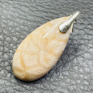 pendentif corail fossile
