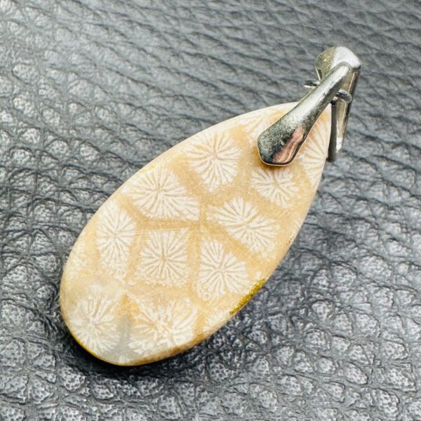 Pendentif corail fossile de Malaisie (réf pco10) – Image 3