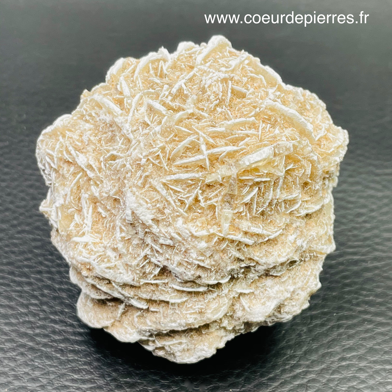 Rose des sables “gypse” du Maroc 0,150kg (réf rs10) Cœur de Pierres — free download
