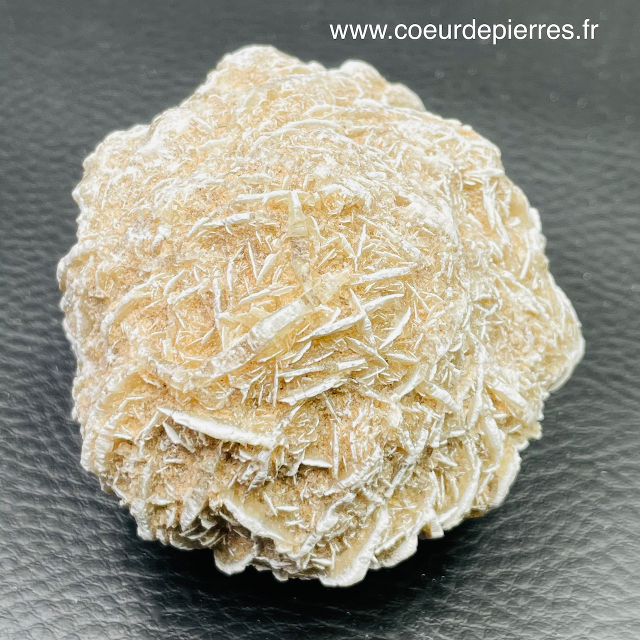 Rose des sables “gypse” du Maroc 0,150kg (réf rs10) Cœur de Pierres