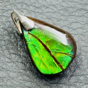 Pendentif en Ammolite