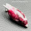 Pendentif en eudialyte « sang de dragon » de Norvège (ref ed10) – Image 3