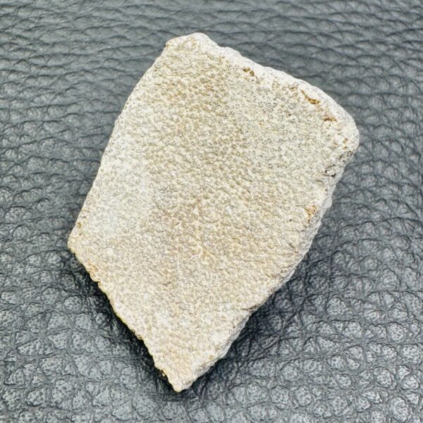 Coquille d'Oeuf de Dinosaure "Saltasaurus" (réf cod2) – Image 4