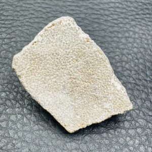 Coquille d'Oeuf de Dinosaure