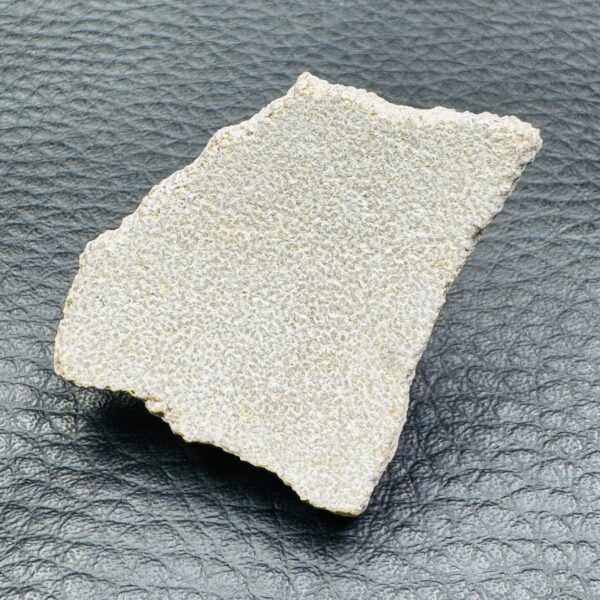 Coquille d'Oeuf de Dinosaure de Saltasaurus (réf cod1) – Image 2