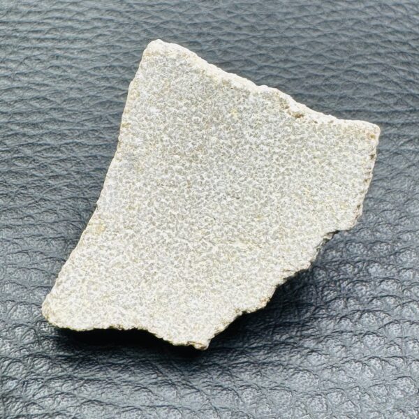 Coquille d'Oeuf de Dinosaure de Saltasaurus (réf cod1) – Image 3