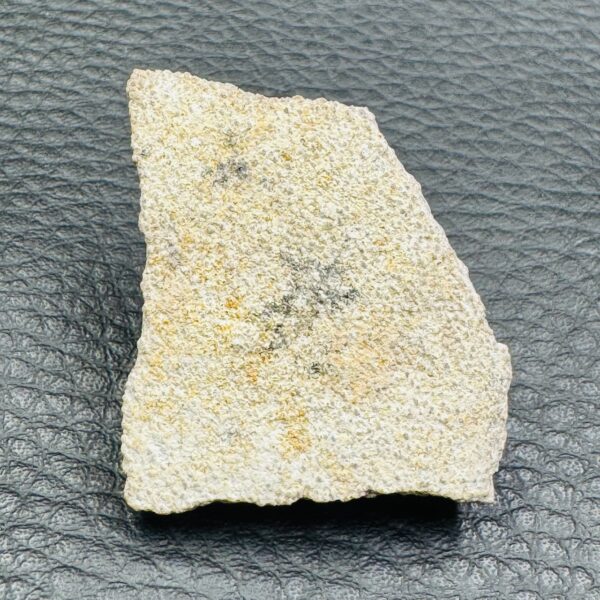 Coquille d'Oeuf de Dinosaure de Saltasaurus (réf cod1) – Image 4