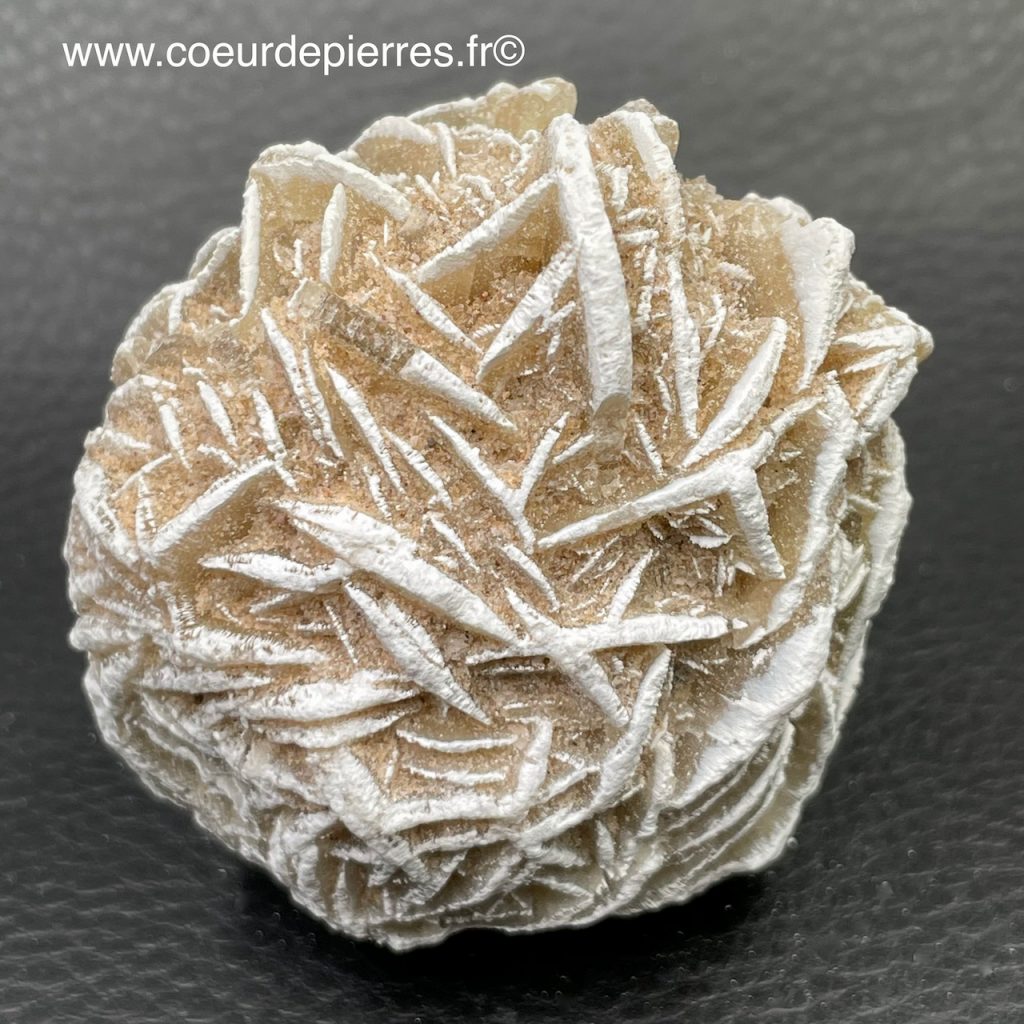 Rose des sables “gypse” du Maroc (réf rs6) Cœur de Pierres — free download