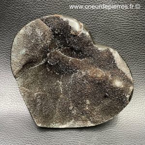 Coeur en septaria sauvage des Hautes-Alpes, France (réf oss7)