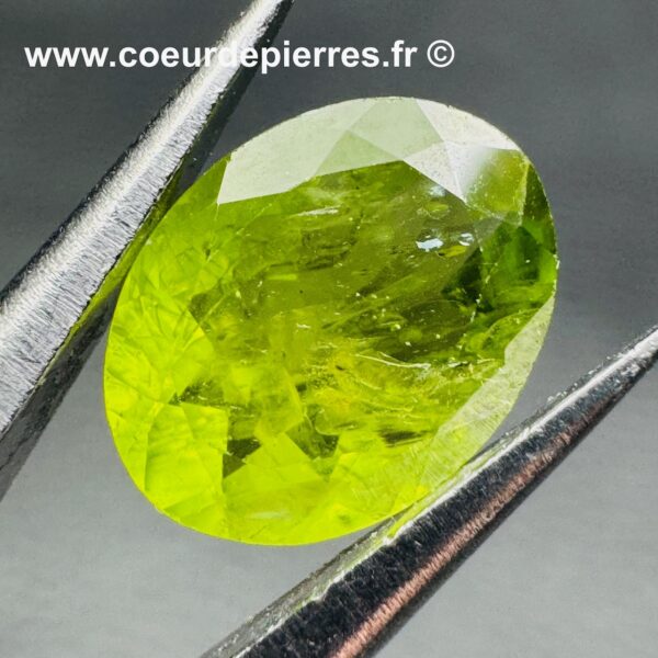 Péridot Gemme du Pakistan (réf peg1) – Image 2