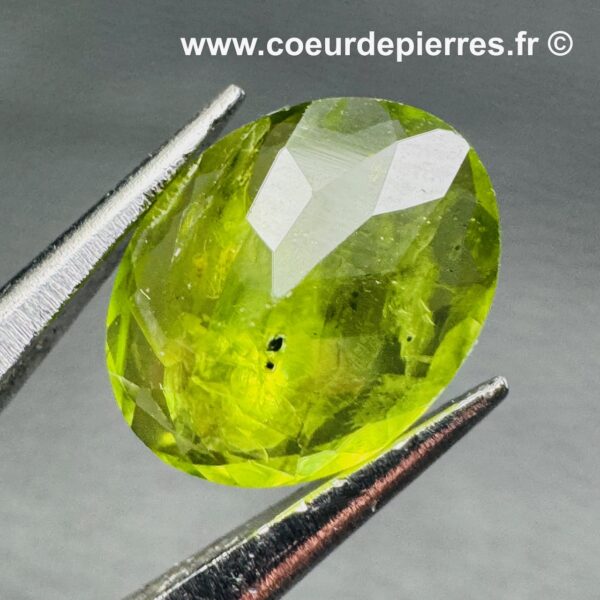 Péridot Gemme