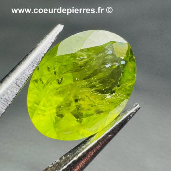 Péridot Gemme