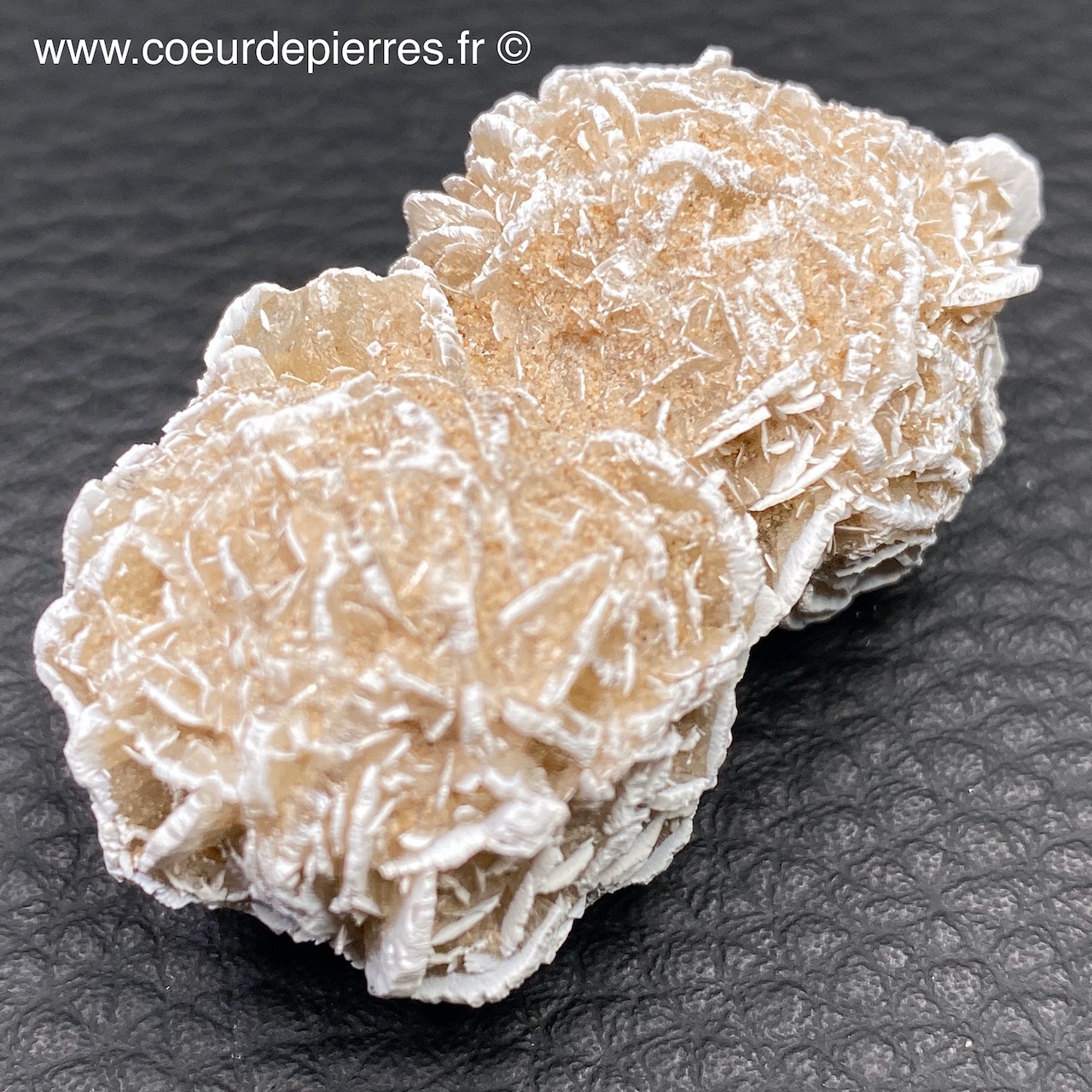 Rose des sables “gypse” du Maroc (réf rs7) Cœur de Pierres