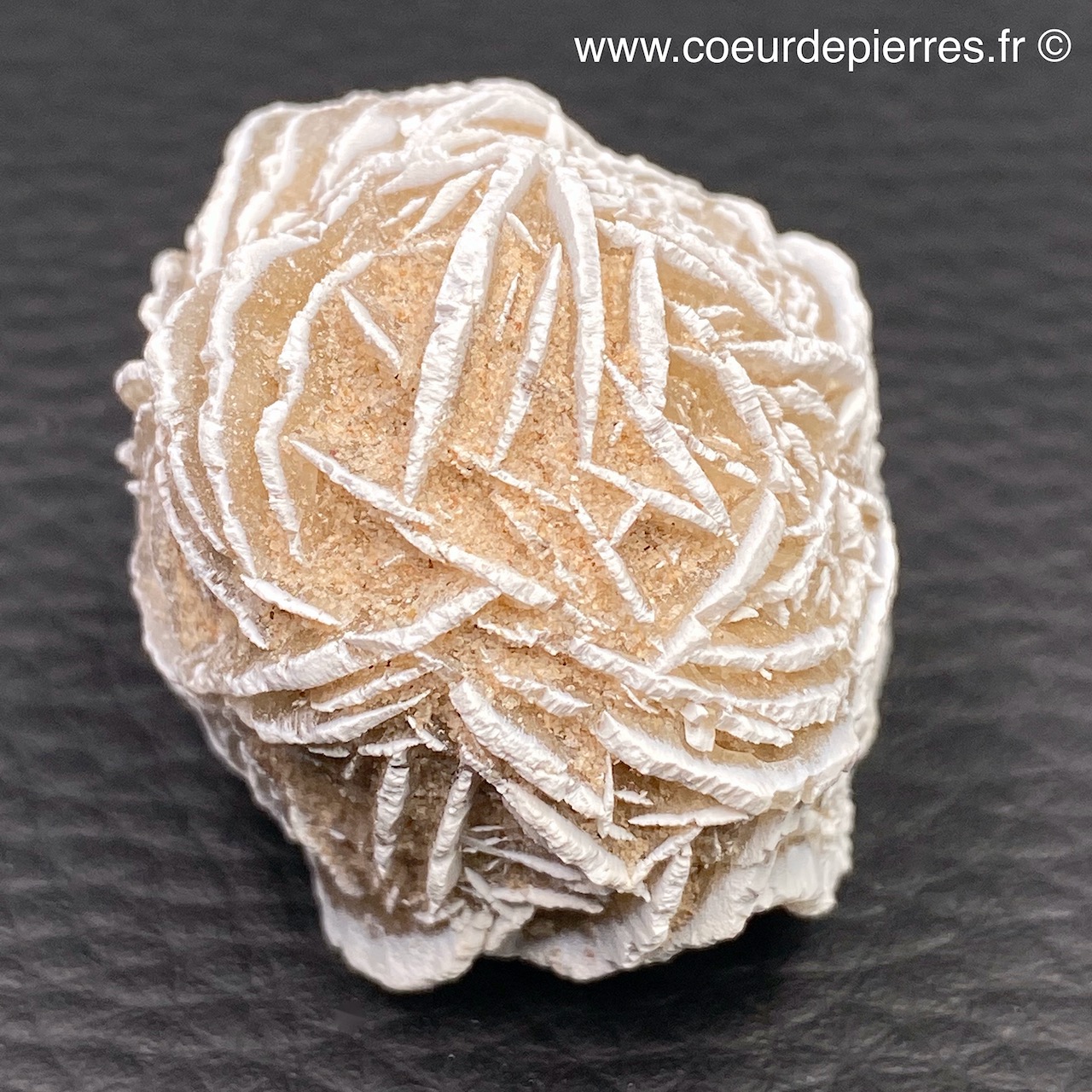 Rose des sables “gypse” du Maroc (réf rs8) Cœur de Pierres — free download