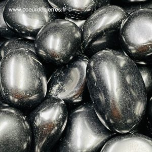 Shungite de Russie galets « taille XL »
