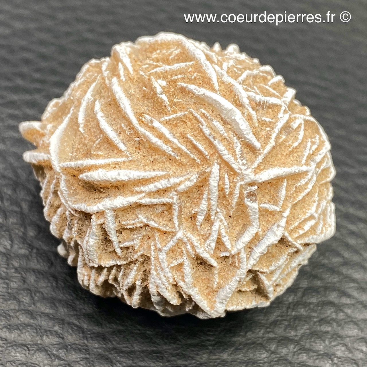 Rose des sables “gypse” du Maroc (réf rs10) Cœur de Pierres — free download