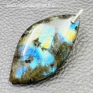 Pendentif labradorite terre et mer (réf ltm1)