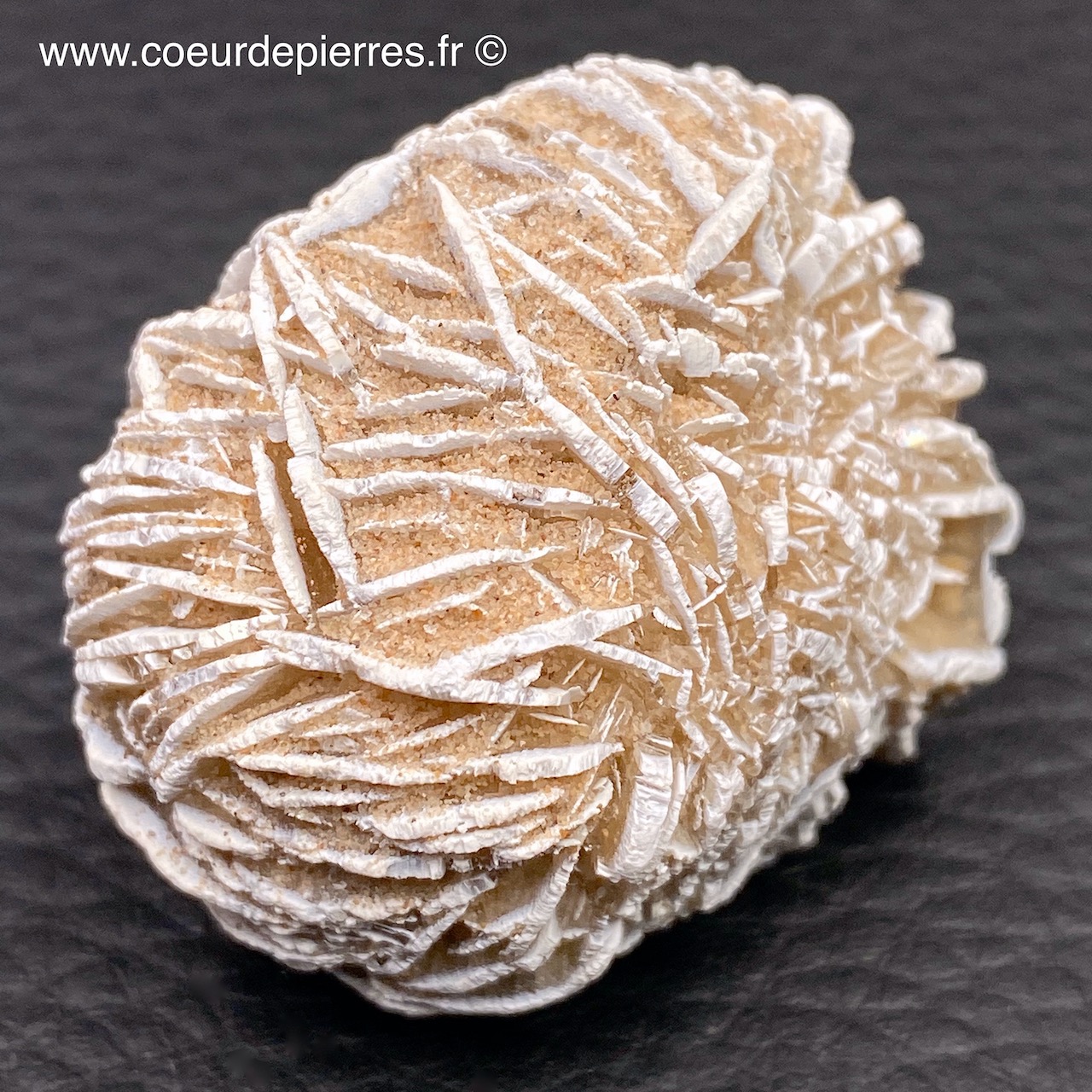 Rose Des Sables Gypse Du Maroc Réf Rs1