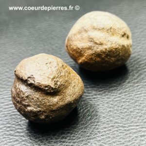 Moquis des USA “par paire” (réf moq7)