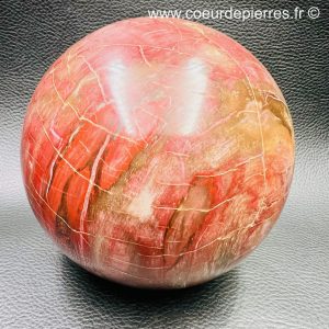 Sphère en bois pétrifié de Madagascar 2,455kg (réf sbf8)