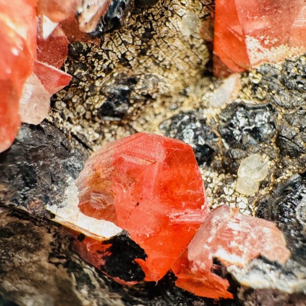 Rhodochrosite, mine Uchucchacua, Lima, Pérou (réf rg14) – Image 5