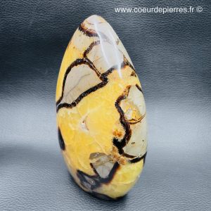 Septaria bloc forme libre, pierre du dragon de 1,366kg (réf ss8)
