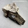 Calcite miel sur gangue de Pologne – Image 6