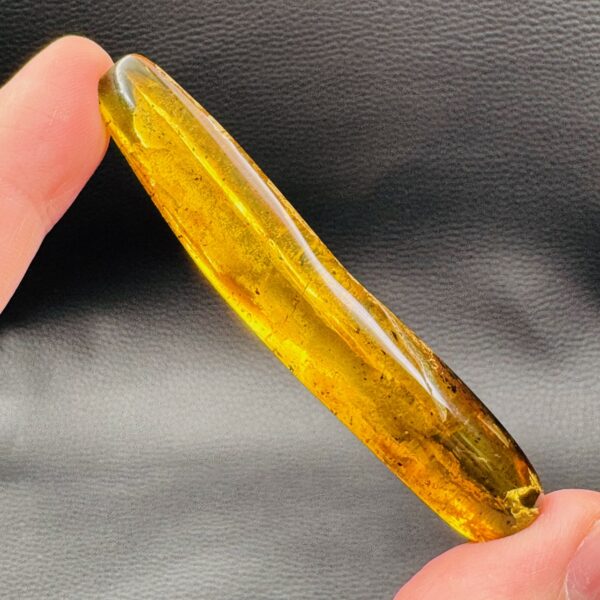 Ambre Jaune de la Mer Baltique (réf ac5) – Image 5