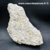 Oursin Scutella Fossile de France (réf ouf3) – Image 4