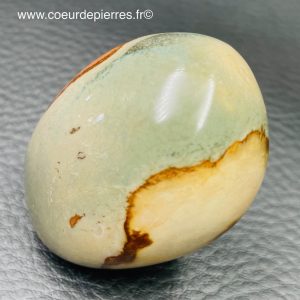 Galet en jaspe polychrome de Madagascar (réf gj11)