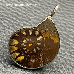 Pendentif ammonite du Maroc (réf pam4)